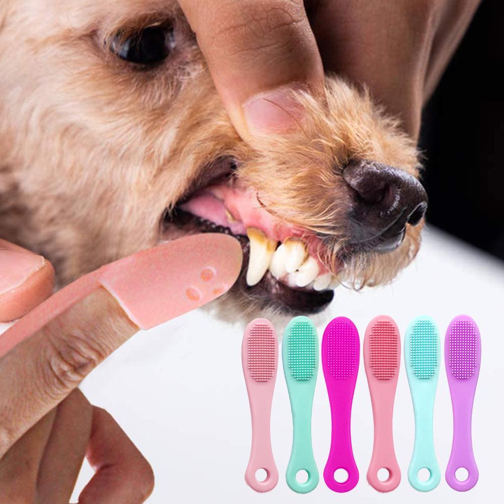 Cepillo De Dientes Para Perro